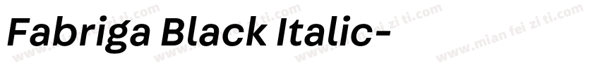 Fabriga Black Italic字体转换